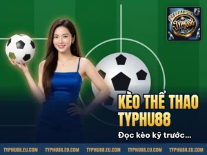 Hình minh họa bài viết: Kèo 1 4 Là Gì? Hướng Dẫn Toàn Tập Cho Tân Thủ Typhu88