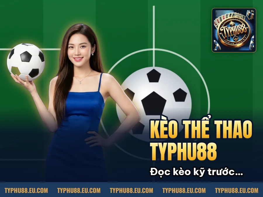 Hình minh họa bài viết: Kèo 1 4 Là Gì? Hướng Dẫn Toàn Tập Cho Tân Thủ Typhu88