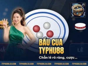 Hình minh họa bài viết: Kinh Nghiệm Chơi Bầu Cua Typhu88 Đơn Giản Dễ Hiểu
