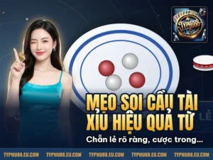 Hình minh họa bài viết: Mẹo soi cầu tài xỉu hiệu quả từ người chơi lâu năm trên Typhu88